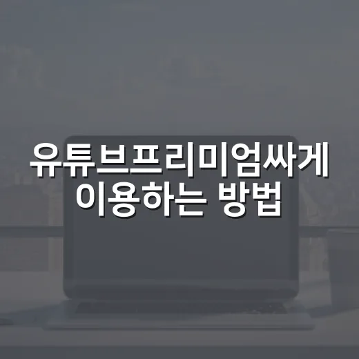유튜브프리미엄싸게 이용하는 방법, 우회 말고 현실적으로 아끼려면 이렇게 - 요약