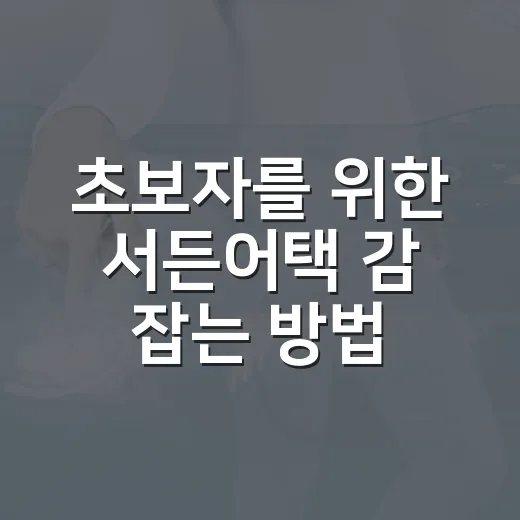 초보자를 위한 서든어택 감 잡는 방법: 설정부터 실전 습관까지 - 요약