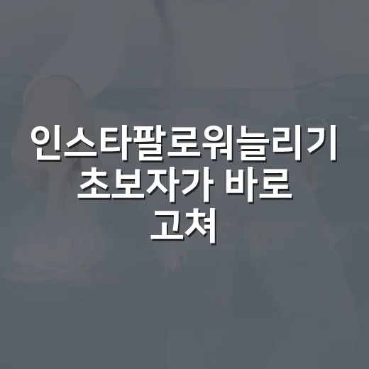 인스타팔로워늘리기 초보자가 바로 고쳐야 할 운영 방법 - 요약