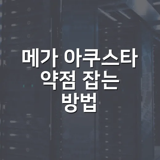 메가 아쿠스타 약점 잡는 방법, 타입부터 선출까지 초보자용 가이드 - 요약