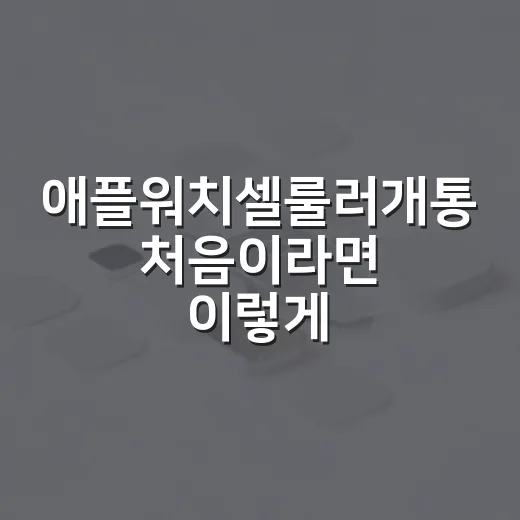 애플워치셀룰러개통 처음이라면 이렇게 준비하고 설정하는 방법 - 요약