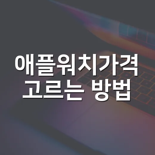 애플워치가격 고르는 방법, 내 예산에 맞게 사려면 이렇게 - 요약