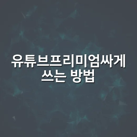 유튜브프리미엄싸게 쓰는 방법, 안전하게 월 구독료 줄이려면 이렇게 - 요약