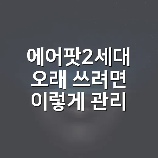 에어팟2세대 오래 쓰려면 이렇게 관리하고 고르면 됩니다 - 요약