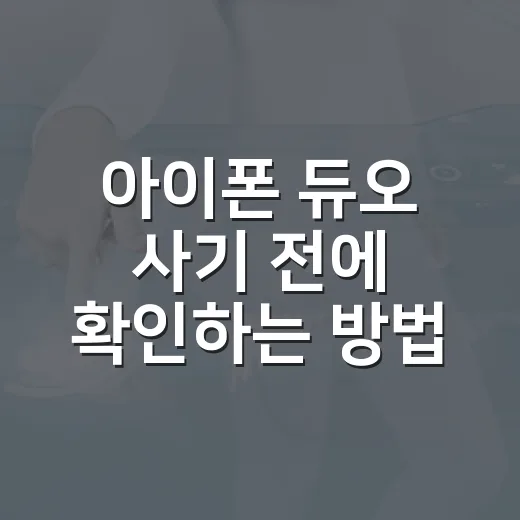 아이폰 듀오 사기 전에 확인하는 방법 - 요약