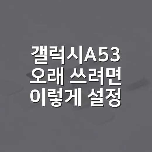 갤럭시A53 오래 쓰려면 이렇게 설정하면 편합니다 - 요약