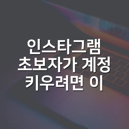 인스타그램 초보자가 계정 키우려면 이렇게 시작하면 됩니다 - 요약