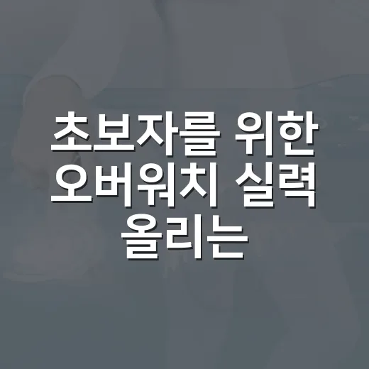 초보자를 위한 오버워치 실력 올리는 방법 - 요약