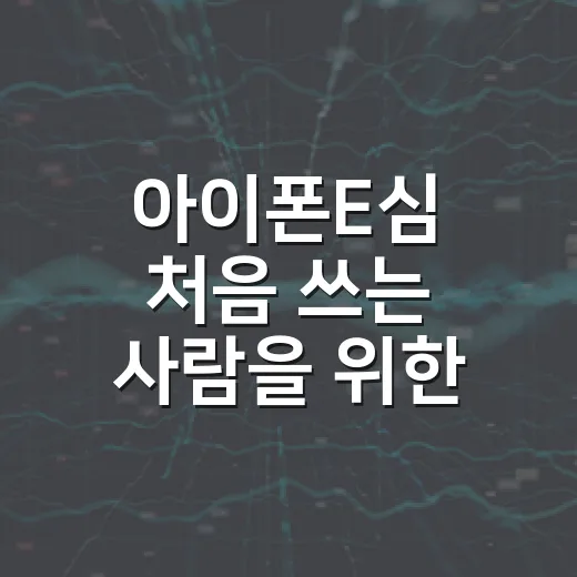 아이폰E심 처음 쓰는 사람을 위한 설정 방법과 확인할 점 - 요약
