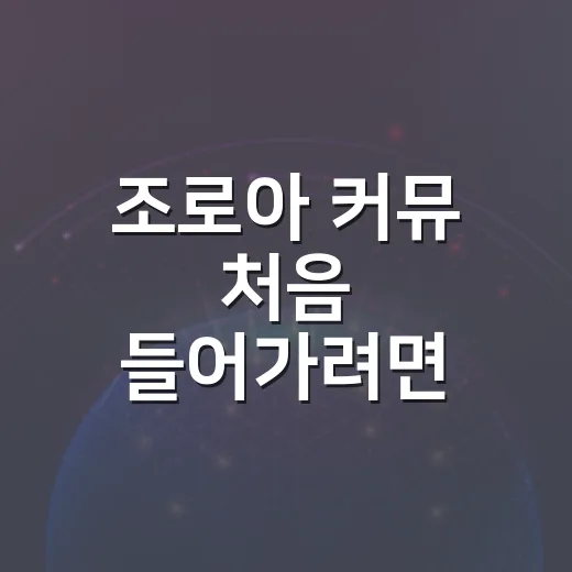 조로아 커뮤 처음 들어가려면 이렇게 시작하는 방법 - 요약