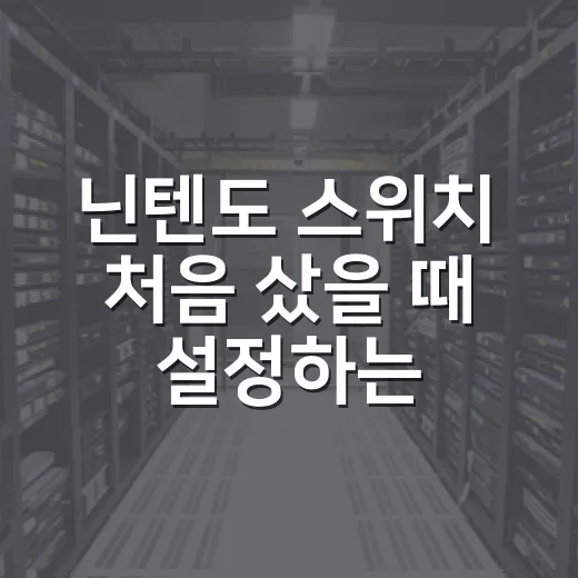 닌텐도 스위치 처음 샀을 때 설정하는 방법 - 요약
