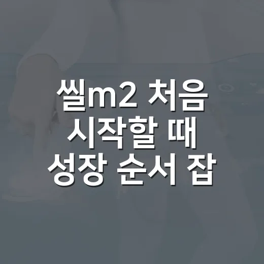 씰m2 처음 시작할 때 성장 순서 잡는 방법 - 요약