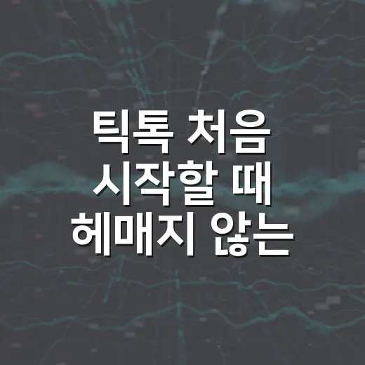 틱톡 처음 시작할 때 헤매지 않는 방법 - 요약