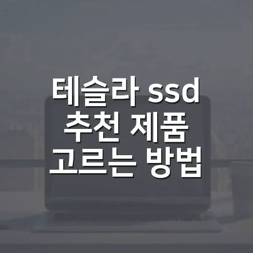테슬라 ssd 추천 제품 고르는 방법 - 요약