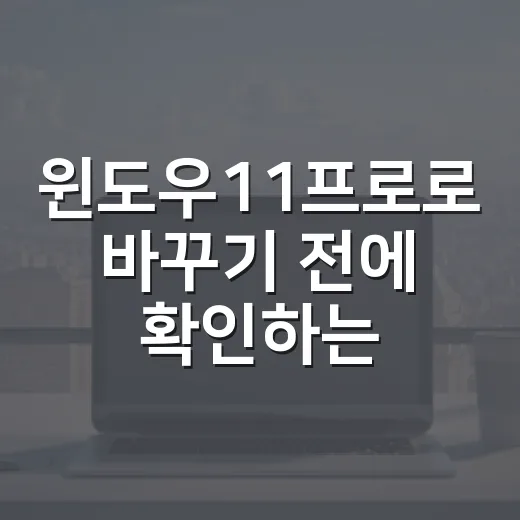 윈도우11프로로 바꾸기 전에 확인하는 방법 - 요약