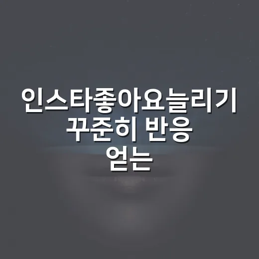 인스타좋아요늘리기 꾸준히 반응 얻는 방법 - 요약