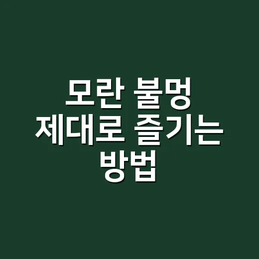 모란 불멍 제대로 즐기는 방법, 장비보다 자리와 바람부터 보세요 - 요약