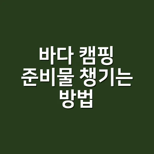 바다 캠핑 준비물 챙기는 방법, 초보가 짐 줄이면서도 안전하게 가려면 이렇게 - 요약