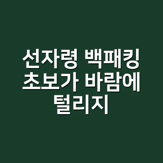 선자령 백패킹 초보…