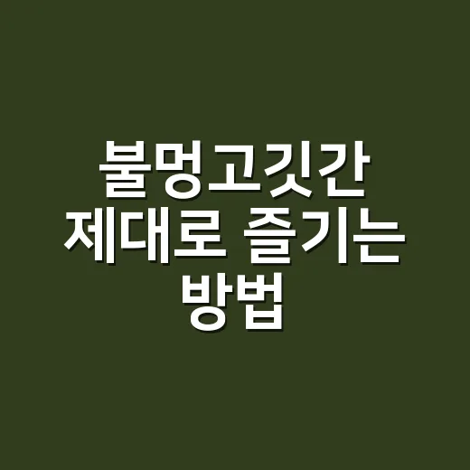 불멍고깃간 제대로 즐기는 방법, 고기보다 먼저 챙길 것들 - 요약