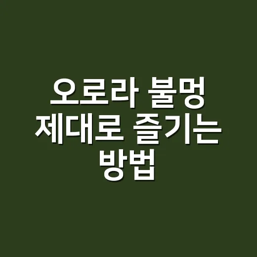 오로라 불멍 제대로 즐기는 방법, 초보가 먼저 챙길 것들 - 요약
