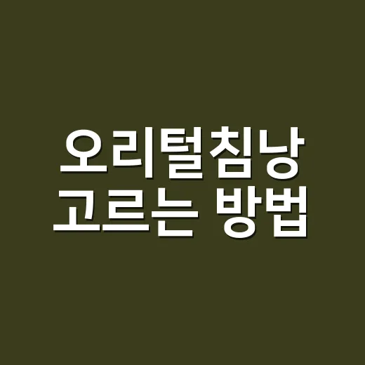 오리털침낭 고르는 방법, 초보가 돈 아끼려면 이 기준부터 보세요 - 요약
