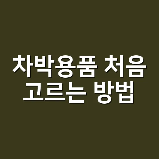 차박용품 처음 고르는 방법, 비싼 장비보다 먼저 챙길 것들 - 요약