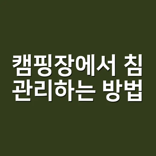 캠핑장에서 침 관리하는 방법, 초보가 은근히 놓치는 위생과 수면 팁 - 요약