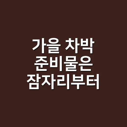 가을 차박 준비물은 잠자리부터 챙기는 방법 - 요약