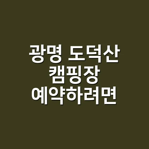 광명 도덕산 캠핑장 예약하려면 이렇게 준비하세요 - 요약