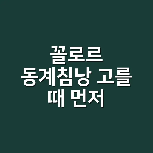 꼴로르 동계침낭 고를 때 먼저 확인할 것 - 요약