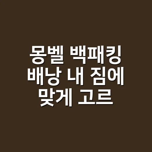 몽벨 백패킹 배낭 내 짐에 맞게 고르는 방법 - 요약