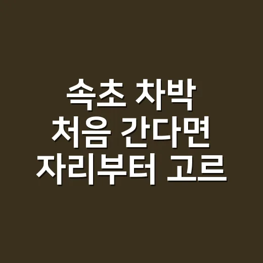 속초 차박 처음 간다면 자리부터 고르는 방법 - 요약