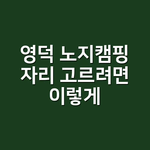 영덕 노지캠핑 자리 고르려면 이렇게 하세요 - 요약
