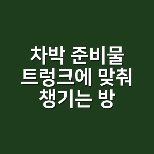 차박 준비물 트렁크에 맞춰 챙기는 방법 - 요약