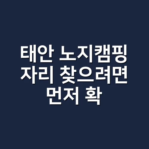 태안 노지캠핑 자리 찾으려면 먼저 확인할 것 - 요약