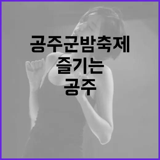 공주 군밤축제를 즐기는 방법 - 요약