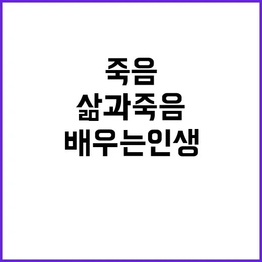 송영규의 삶과 죽음에서 배우는 인생의 교훈 - 요약