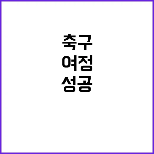 황의조의 축구 여정과 성공 비밀 - 요약