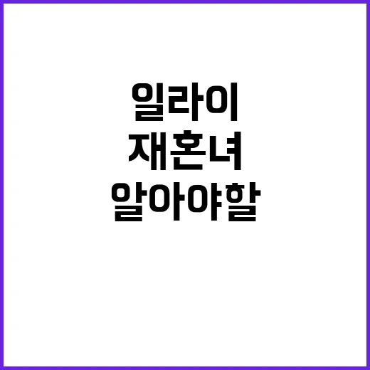 일라이의 재혼녀에 대해 알아야 할 것들 - 요약