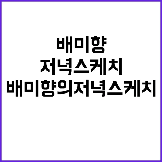 배미향의 저녁 스케치, 특별한 순간을 담는 방법 - 요약