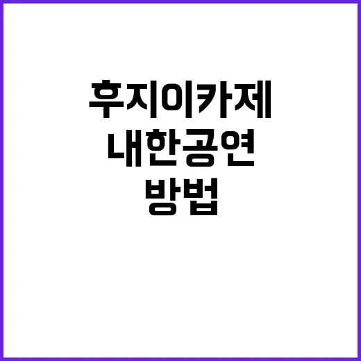 후지이 카제 내한 공연을 제대로 즐기는 방법 - 요약
