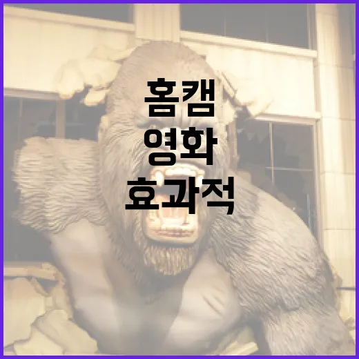 영화 홈캠을 효과적으로 활용하는 방법 - 요약