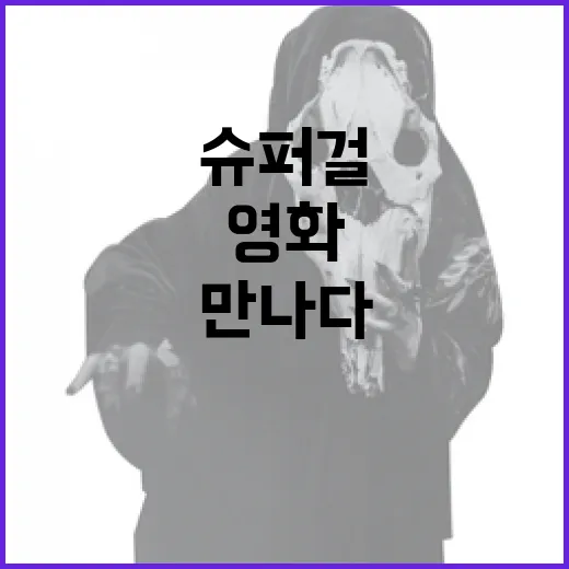 영화 