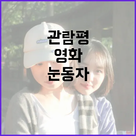 눈동자 하나로 영화 관람평을 쓰는 방법 - 요약