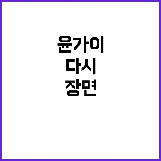 윤가이 출연 장면만 다시 돌려봤더니, 왜 계속 눈에 밟히는지 알겠더라 - 요약