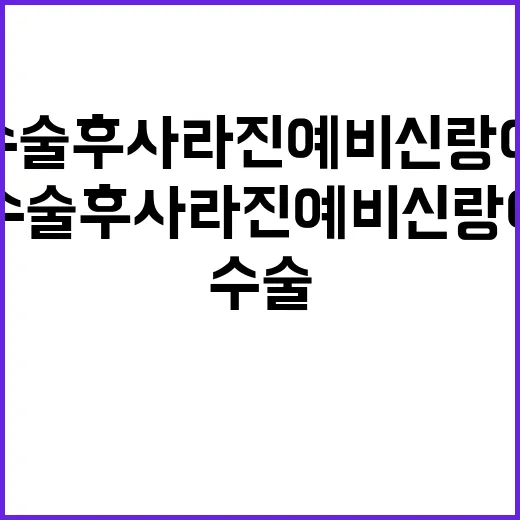 성형수술 후 사라진 예비신랑 이야기, 믿음이 무너지는 순간까지 따라가 본 후기 - 요약