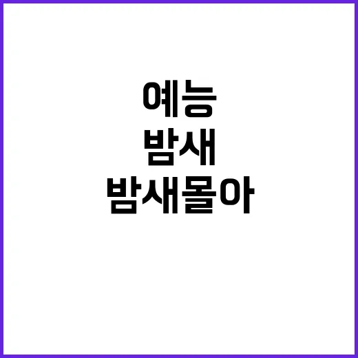 예능을 밤새 몰아봤더니 취향이 더 선명해진 이야기 - 요약