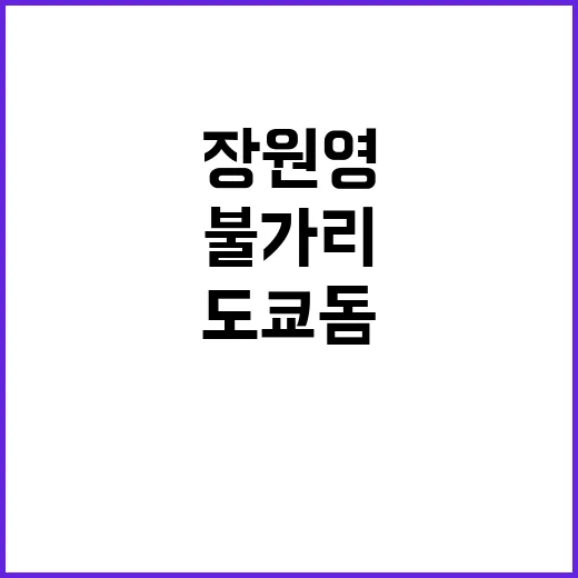 장원영 도쿄돔 무대 다시 봤더니, 왜 불가리 여신이라 불렸는지 알겠던 후기 - 요약