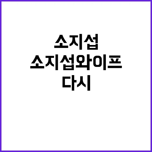 소지섭 와이프가 궁금해서 작품 흐름까지 다시 보게 된 후기 - 요약